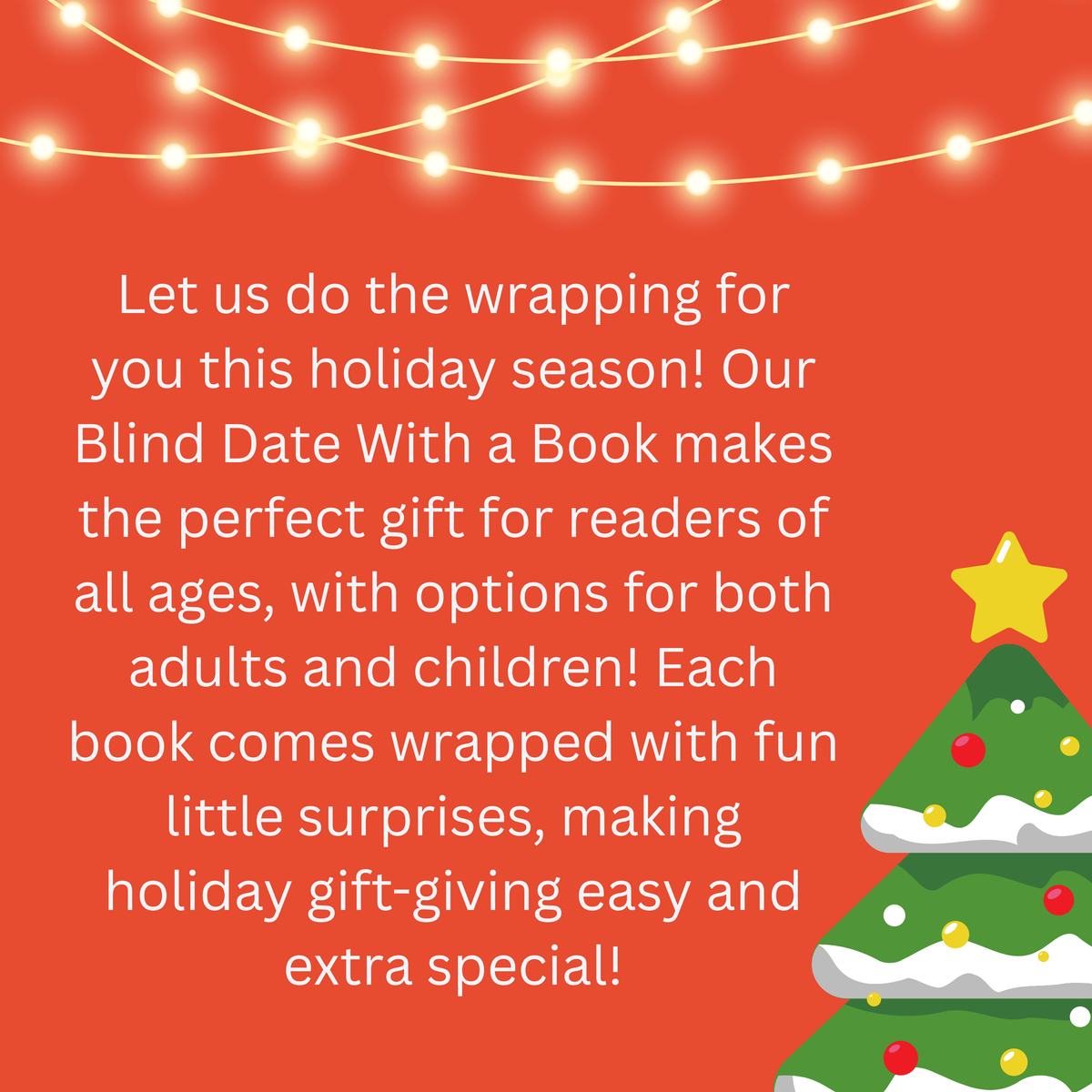 Blind Date With A Book for Adults & Young Adults